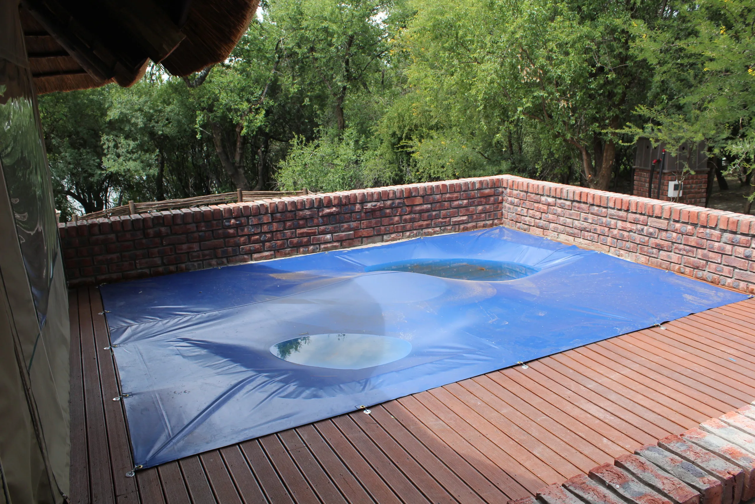 Everything You Need to Know About Pool Covers and Nets