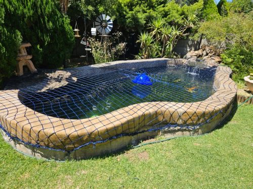 Safety net
